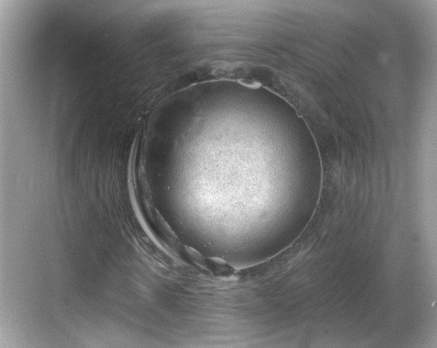 X0000068850914200605121405