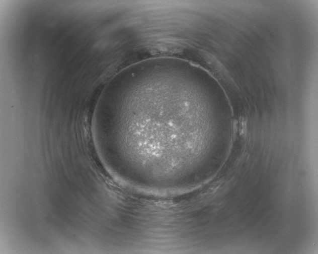 X0000068850915200605121405