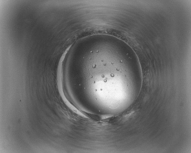 X0000068850916200605121405