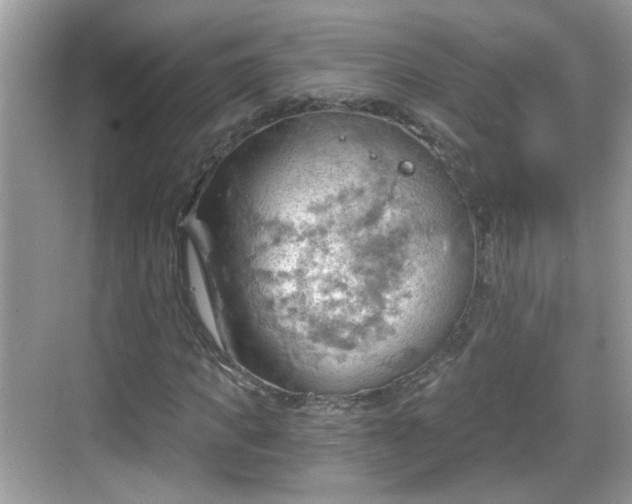 X0000068850917200605121405