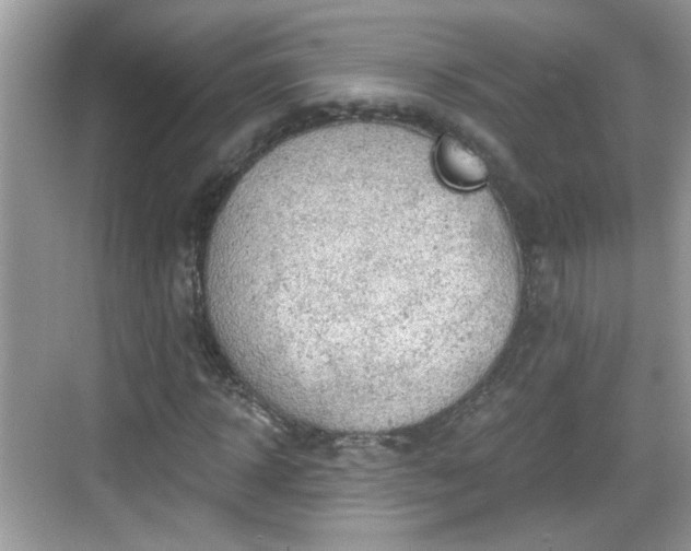 X0000068850918200605121405