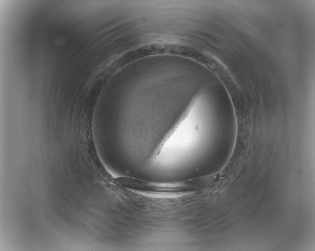 X0000068850919200605121405