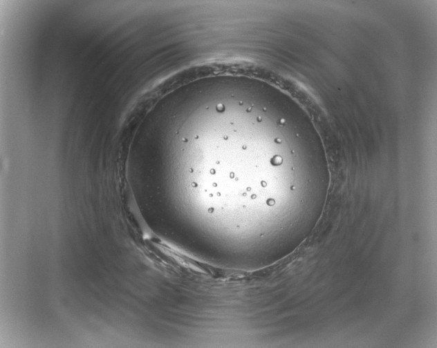 X0000068850920200605121405