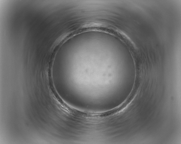 X0000068850921200605121405