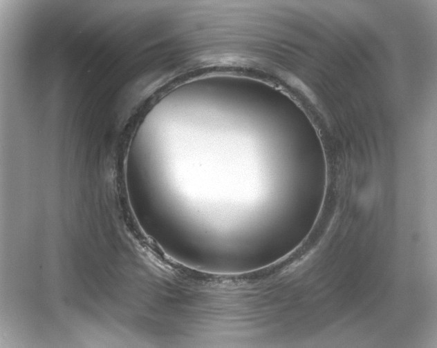 X0000068850922200605121405