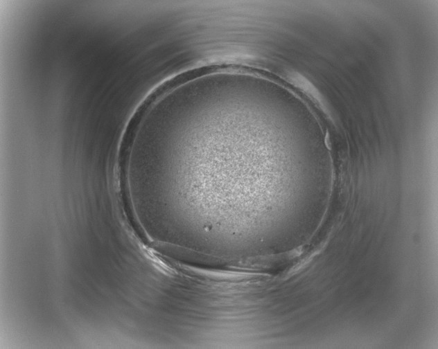 X0000068850924200605121405