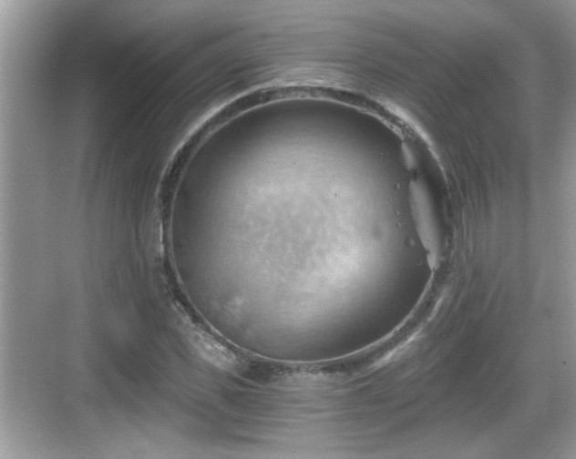 X0000068850925200605121405