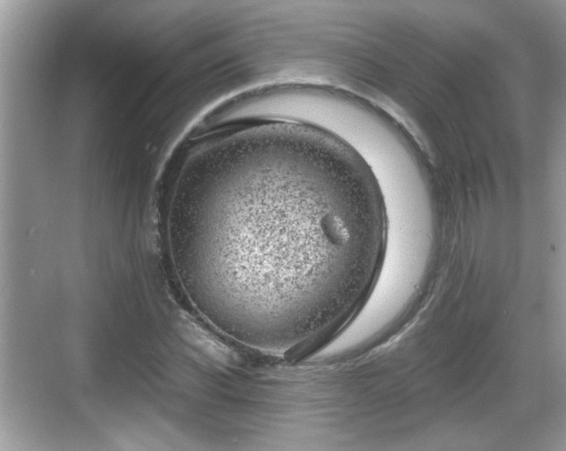 X0000068850926200605121405