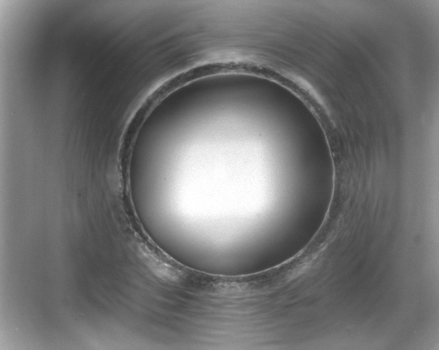 X0000068850927200605121405