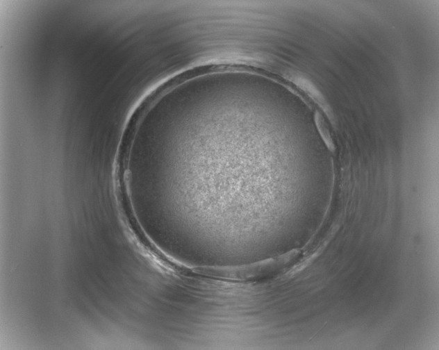 X0000068850928200605121405