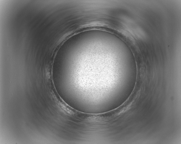 X0000068850929200605121405