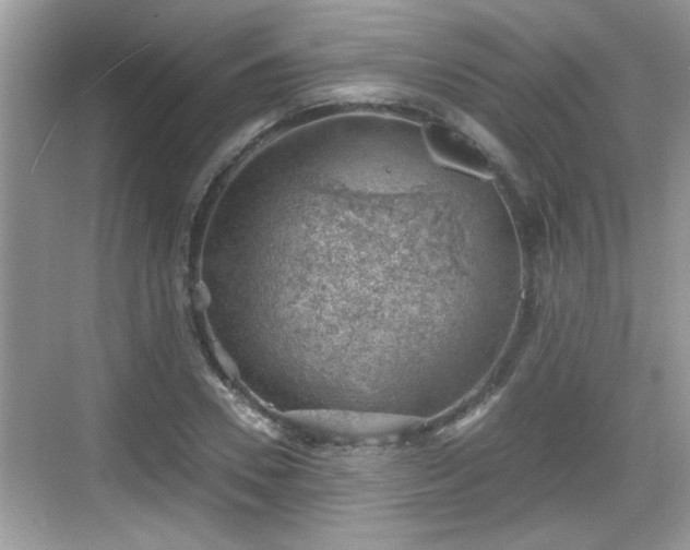 X0000068850930200605121405