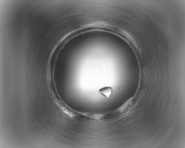 X0000068850931200605121405