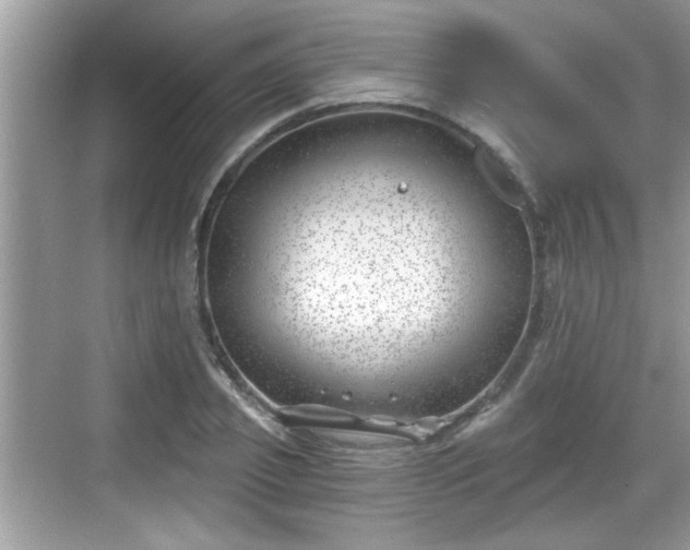 X0000068850933200605121405