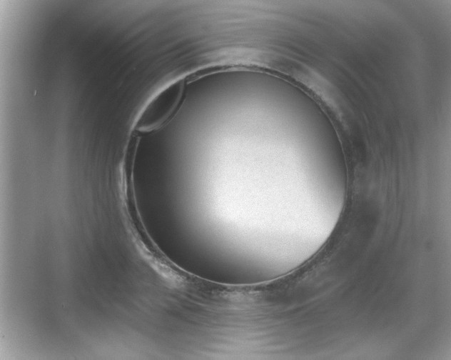 X0000068850936200605121405