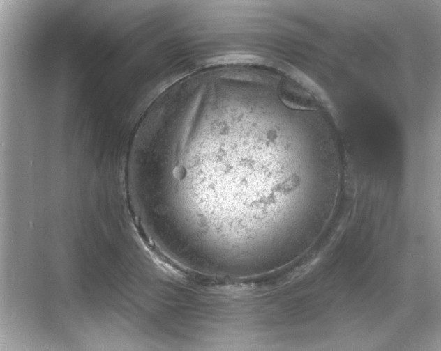 X0000068850937200605121405