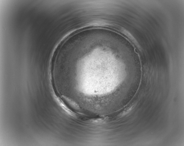 X0000068850939200605121405