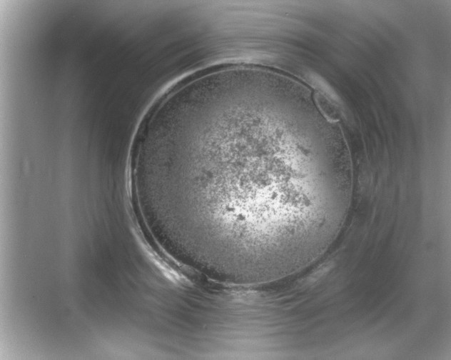 X0000068850940200605121405