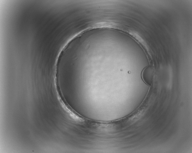 X0000068850941200605121405