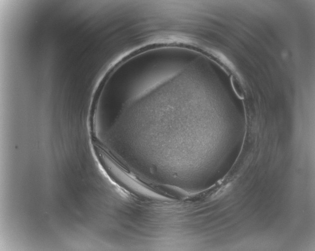 X0000068850943200605121406