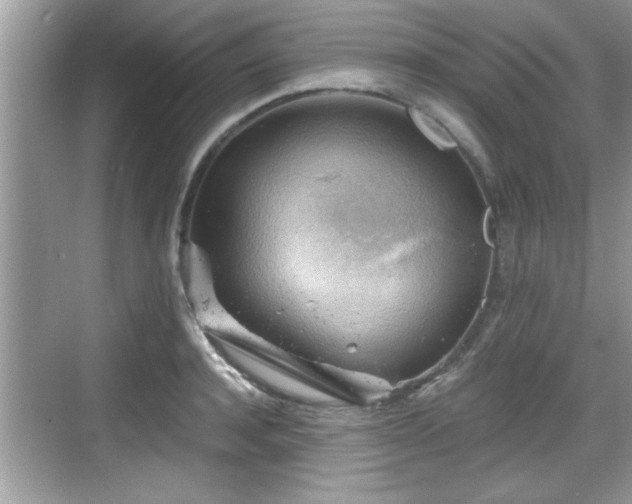 X0000068850944200605121406