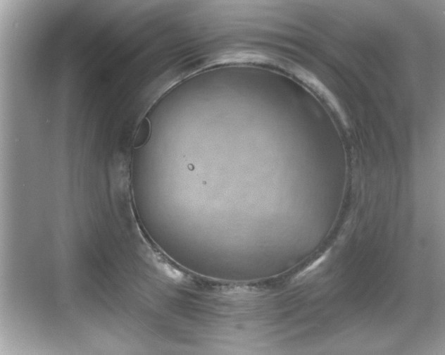 X0000068850945200605121406