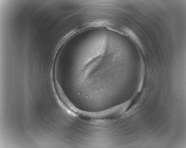 X0000068850946200605121406