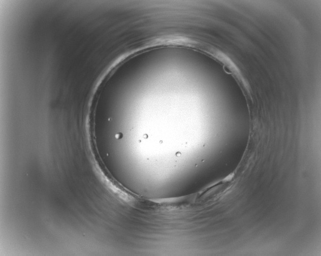 X0000068850947200605121406