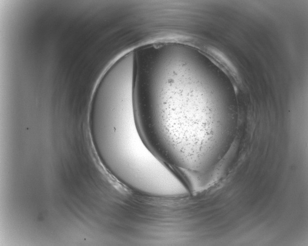 X0000068850948200605121406