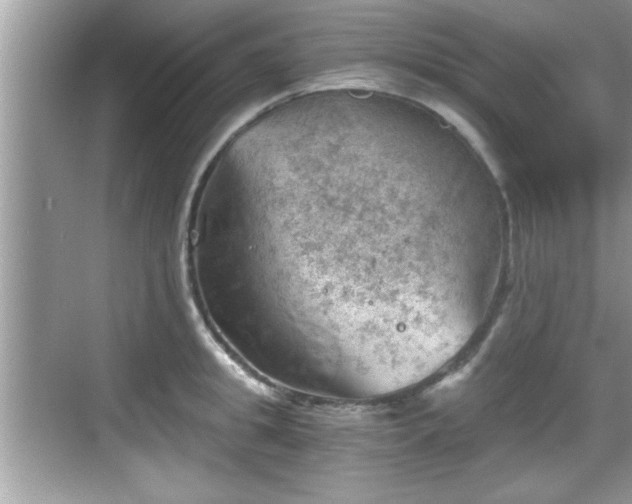 X0000068850949200605121406