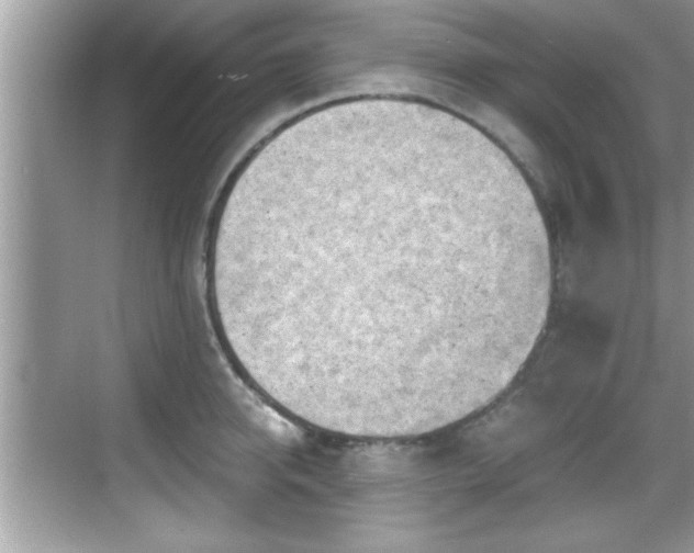 X0000068850950200605121406