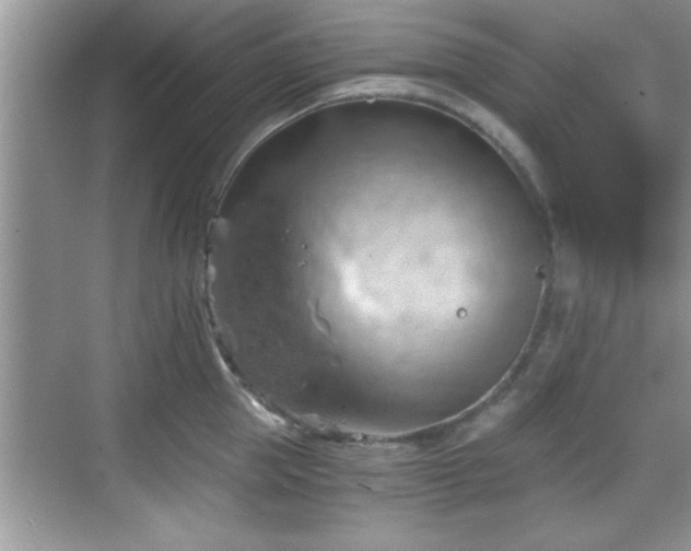 X0000068850953200605121406