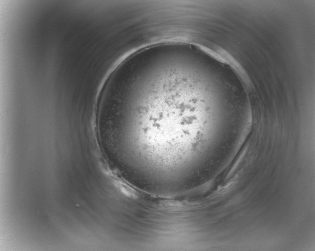 X0000068850956200605121406