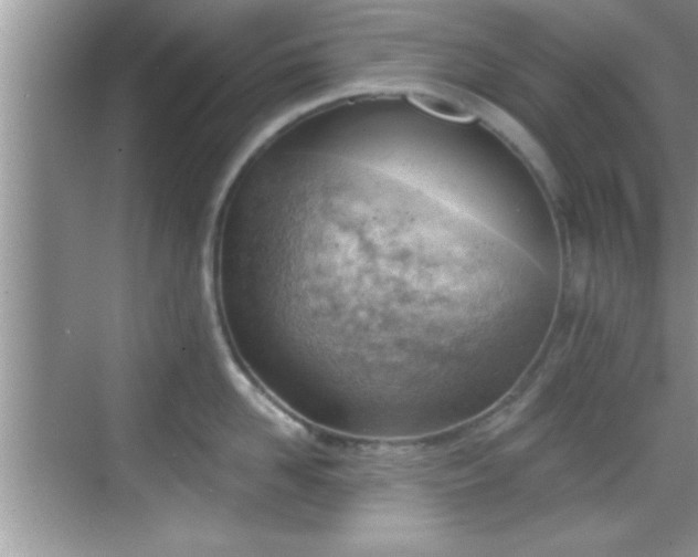 X0000068850958200605121406