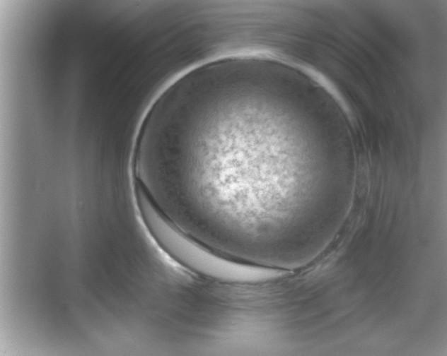 X0000068850959200605121406