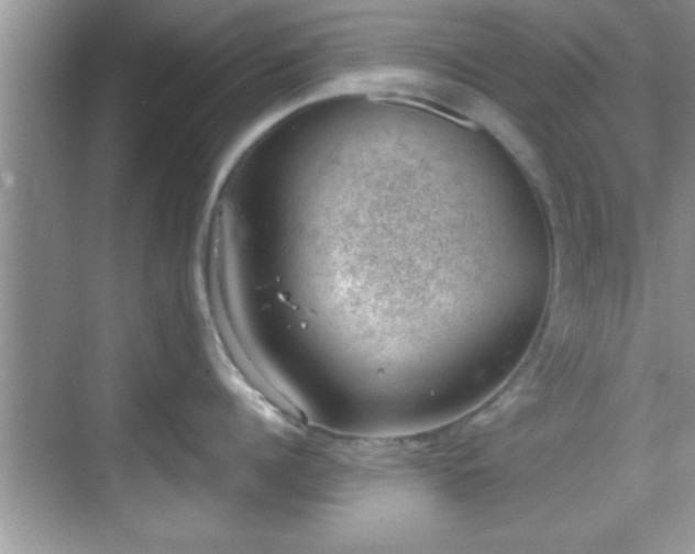 X0000068850960200605121406