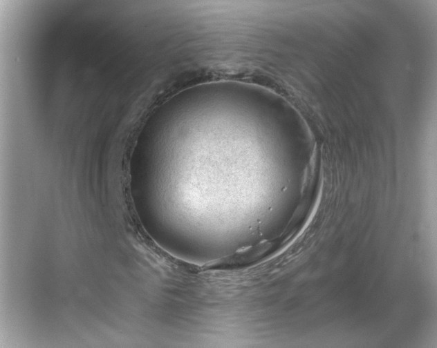 X0000068850961200605121405