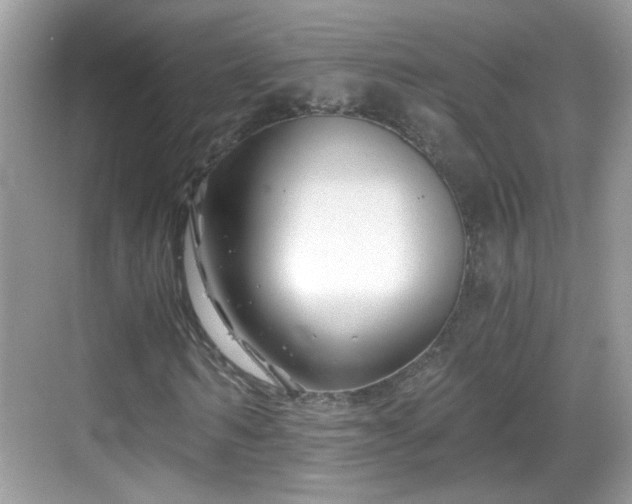 X0000068850962200605121405