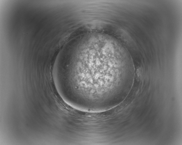 X0000068850963200605121405