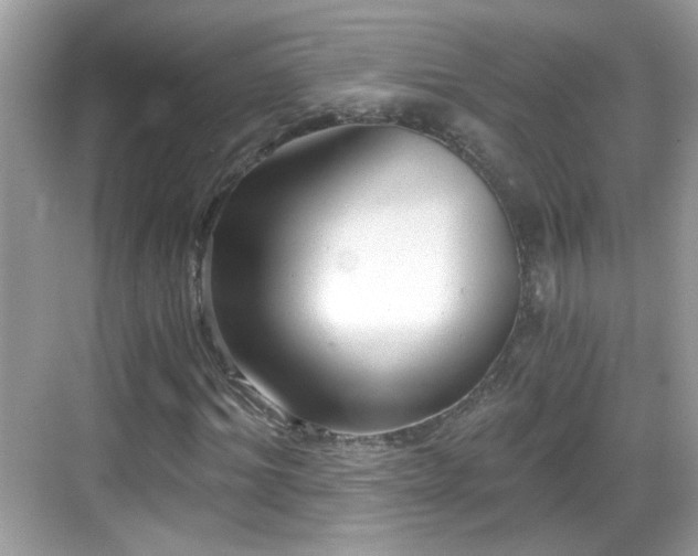 X0000068850964200605121405