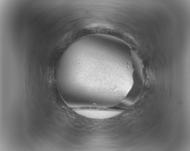 X0000068850965200605121405