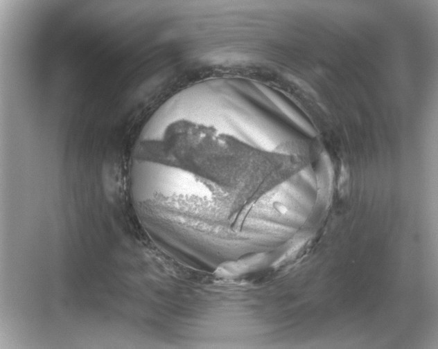 X0000068850966200605121405