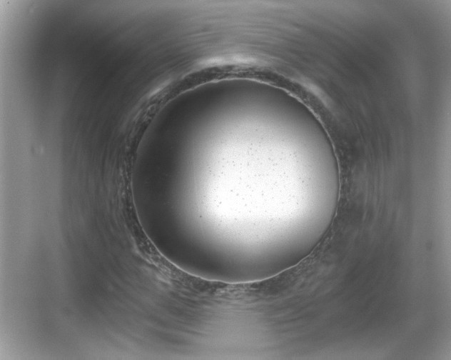 X0000068850967200605121405