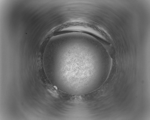 X0000068850968200605121405