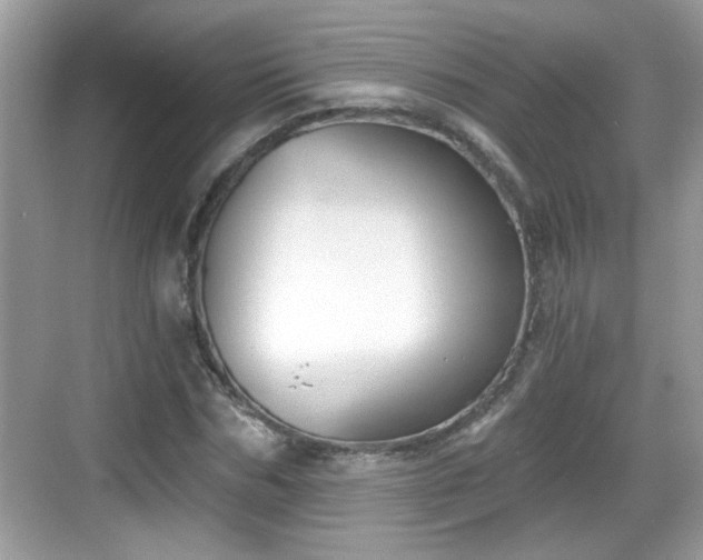 X0000068850970200605121405