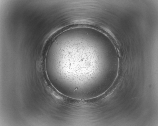 X0000068850971200605121405