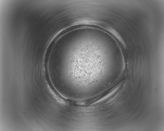 X0000068850972200605121405