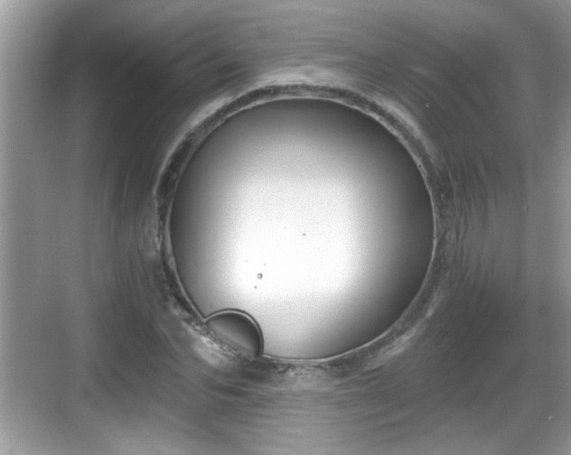 X0000068850974200605121405