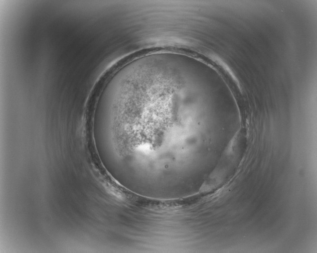 X0000068850975200605121405