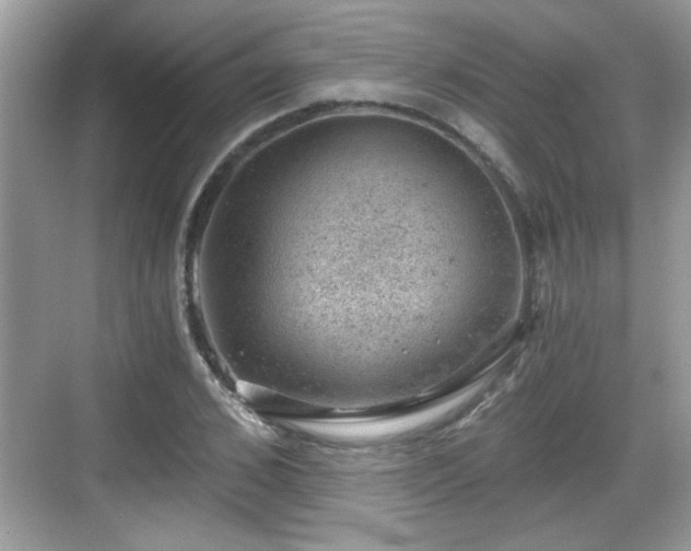 X0000068850976200605121405